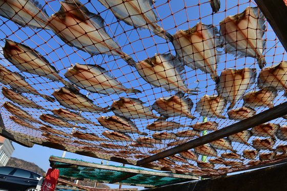 [오늘의 날씨]대구·경북(15일,월)…출근길 추위, 낮 5~10도