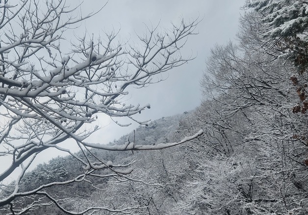 [오늘의 날씨] 전북(15일, 월)…일교차 10도 안팎, 차차 맑음