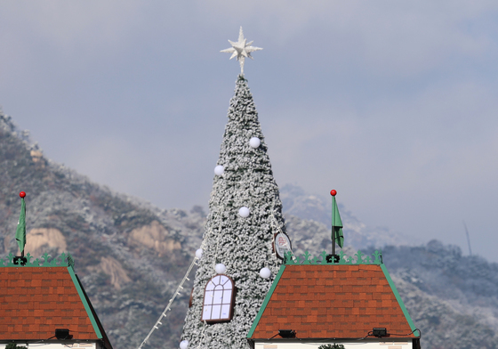 광화문광장의 성탄트리