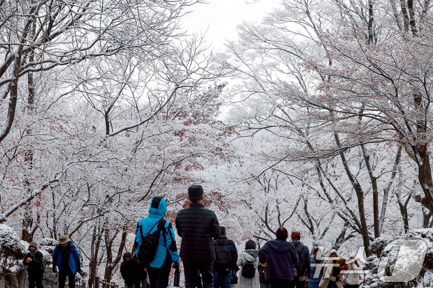 본문 이미지 - 지난 밤 내린 눈이 쌓인 14일 서울 용산구 남산공원을 찾은 시민들이 겨울풍경을 만끽하고 있다. 2025.12.14/뉴스1 ⓒ News1 이호윤 기자