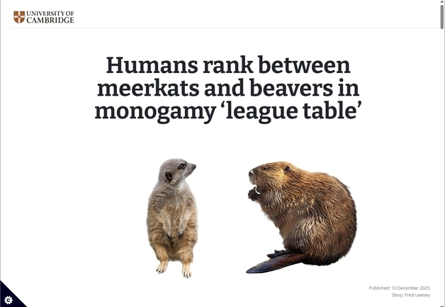 일편단심 '일부일처제 포유류' 1위 캘리포니아쥐…인간은?