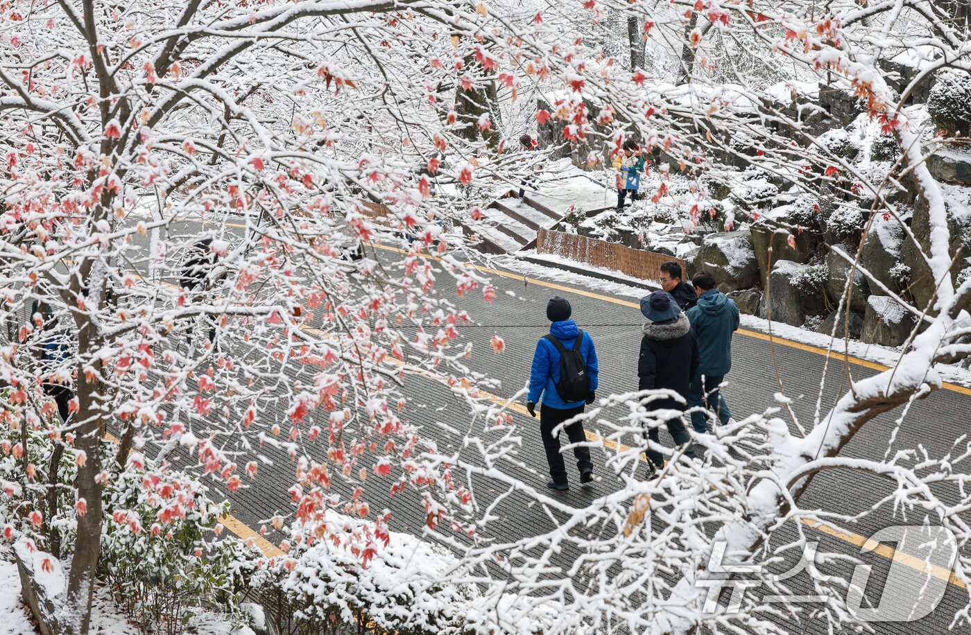 본문 이미지 - 지난 밤 내린 눈이 쌓인 14일 서울 용산구 남산공원을 찾은 시민들이 겨울풍경을 만끽하고 있다. 2025.12.14/뉴스1 ⓒ News1 이호윤 기자