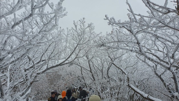 고창 10.5㎝·순창 복흥 9.5㎝…진안 등 6곳 한파주의보(종합)