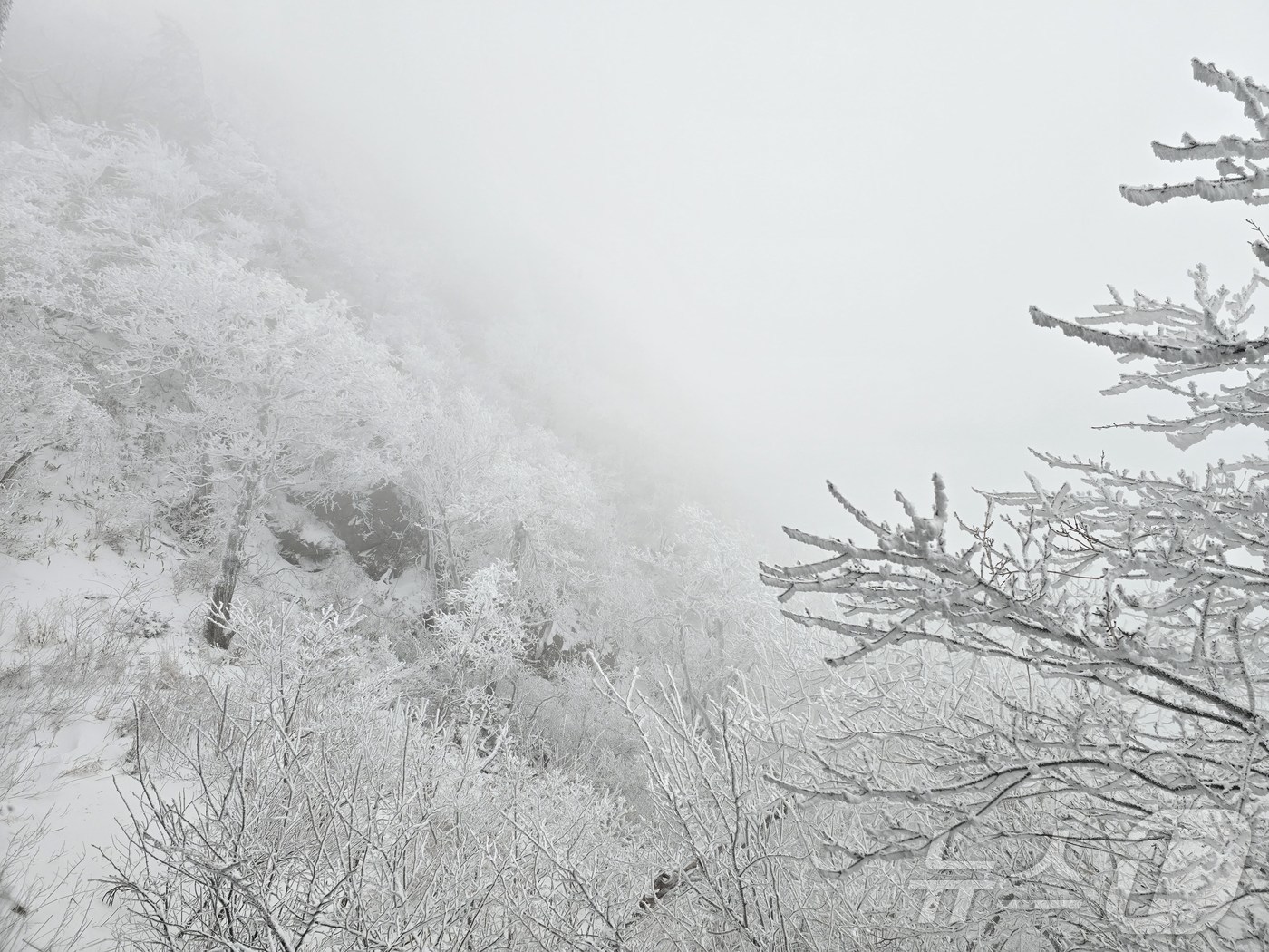 (무주=뉴스1) 장수인 기자 = 14일 전북 무주군 덕유산 삿갓재대피소에서 본 설경.(덕유산국립공원사무소 제공. 재판매 및 DB금지) 2025.12.14/뉴스1