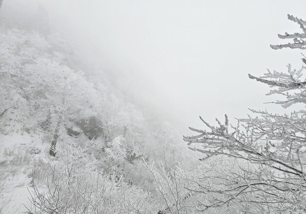 덕유산 삿갓재대피소에서 본 설경