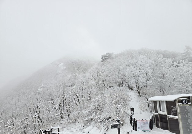 눈 덮인 덕유산 '설경 속으로'