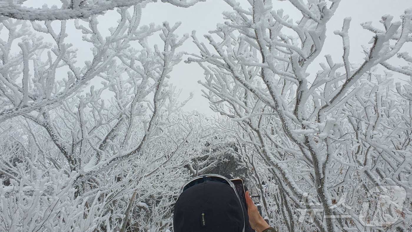(무주=뉴스1) 장수인 기자 = 14일 전북 무주군 덕유산 향적봉에서 설경에 빠진 시민이 촬영을 하고 있다. (덕유산국립공원사무소 제공. 재판매 및 DB금지) 2025.12.14/ …