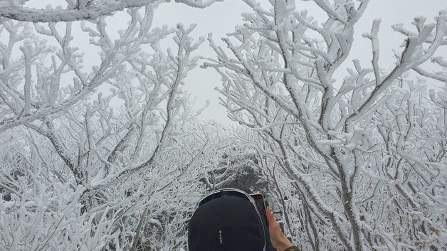 덕유산 향적봉서 설경에 푹