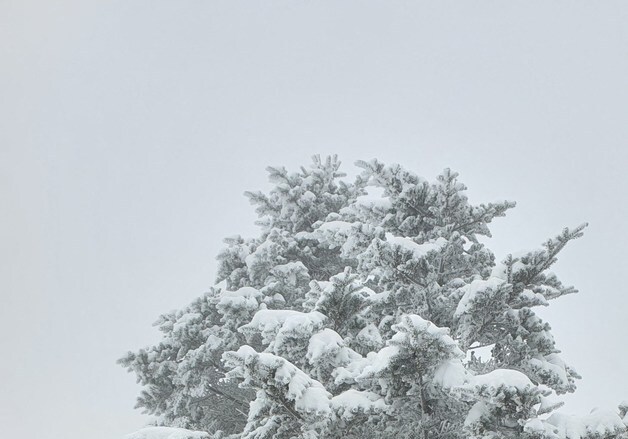 눈 쌓인 덕유산 향적봉
