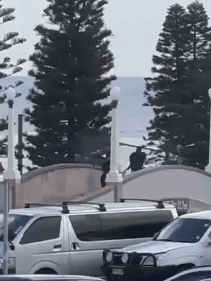 호주 본다이 비치 총격 사건으로 2명 체포…13명 병원 이송