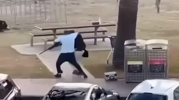 호주 본다이 비치 총격범 맨몸 제압한 시민…주지사 "진정한 영웅"