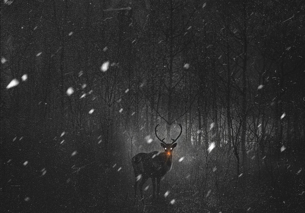 안예은, 동화와 록으로 풀어낸 캐럴…사회적 메시지까지