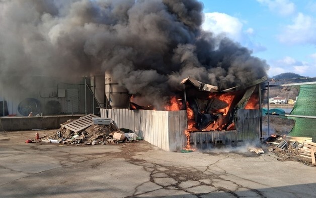 경북 성주 돈사 화재로 돼지 46마리 폐사…1시간여만에 진화