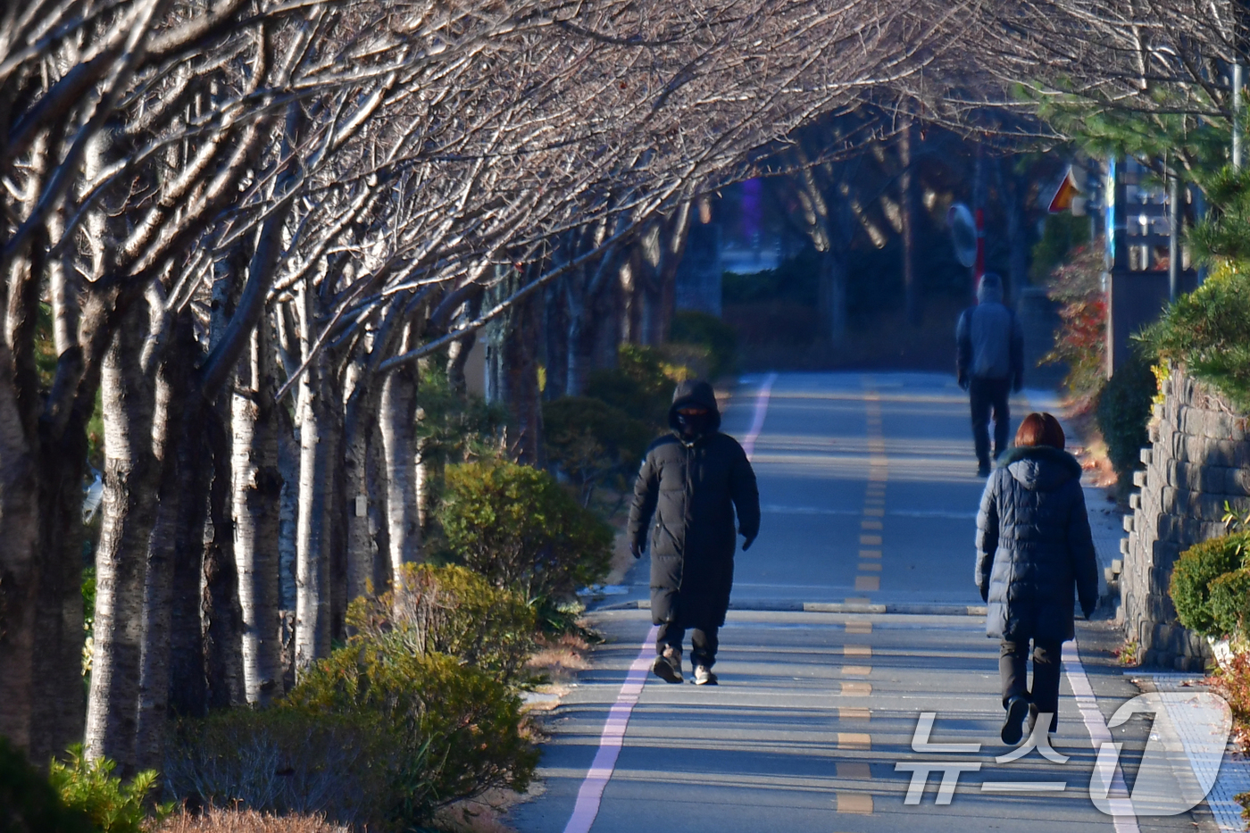 (포항=뉴스1) 최창호 기자 = 15일 경북 포항시 남구 대잠동 철길 숲에서 아침 운동을 나온 시민들이 두터운 옷 차림으로 걸어가고 있다.  2025.12.15/뉴스1
