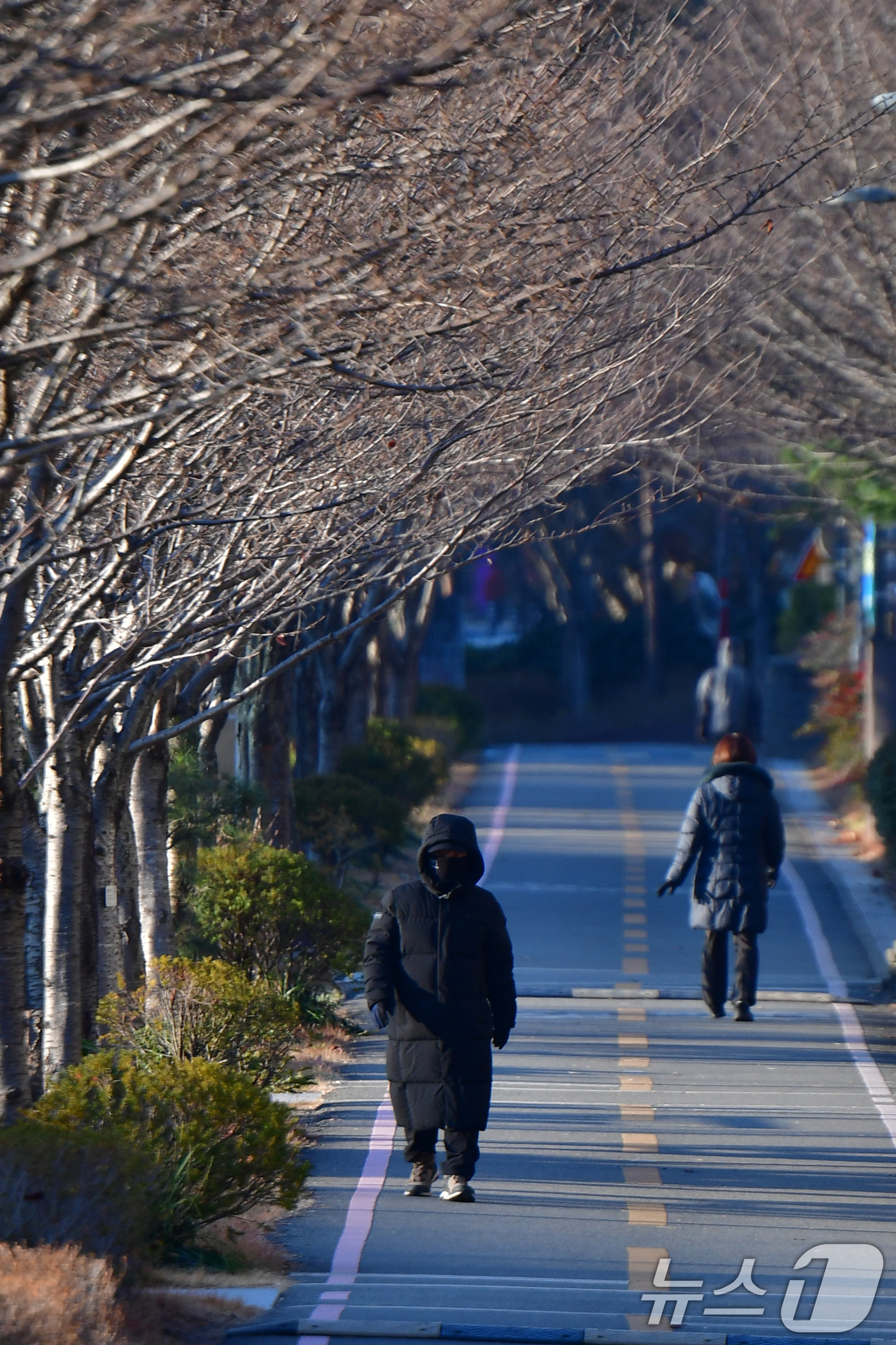 (포항=뉴스1) 최창호 기자 = 15일 경북 포항시 남구 대잠동 철길 숲에서 아침 운동을 나온 시민들이 두터운 옷 차림으로 걸어가고 있다. 2025.12.15/뉴스1