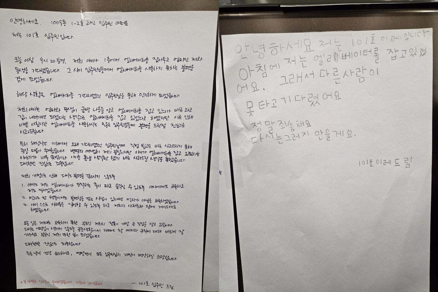 본문 이미지 - (보배드림 갈무리)