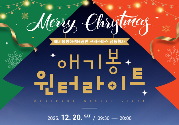 올해도 애기봉을 밝히는 특별한 트리…김포시 윈터라이트 행사