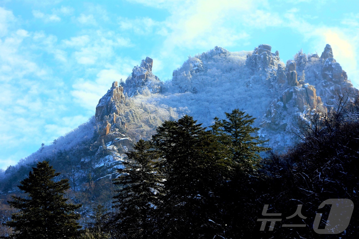 (인제=뉴스1) 이종재 기자 = 16일 강원 인제군 한계령 정상 일대가 최근 내린 눈으로 뒤덮여 아름다운 설경을 자랑하고 있다.(인제군 제공. 재판매 및 DB금지) 2025.12. …