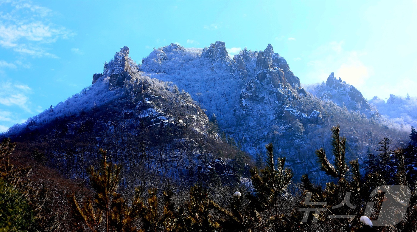 (인제=뉴스1) 이종재 기자 = 16일 강원 인제군 한계령 정상 일대가 최근 내린 눈으로 뒤덮여 아름다운 설경을 자랑하고 있다.(인제군 제공. 재판매 및 DB금지) 2025.12. …