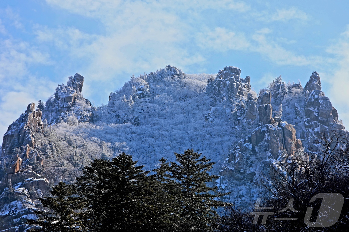 (인제=뉴스1) 이종재 기자 = 16일 강원 인제군 한계령 정상 일대가 최근 내린 눈으로 뒤덮여 아름다운 설경을 자랑하고 있다.(인제군 제공. 재판매 및 DB금지) 2025.12. …