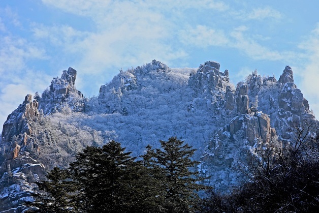 눈 쌓인 인제 한계령