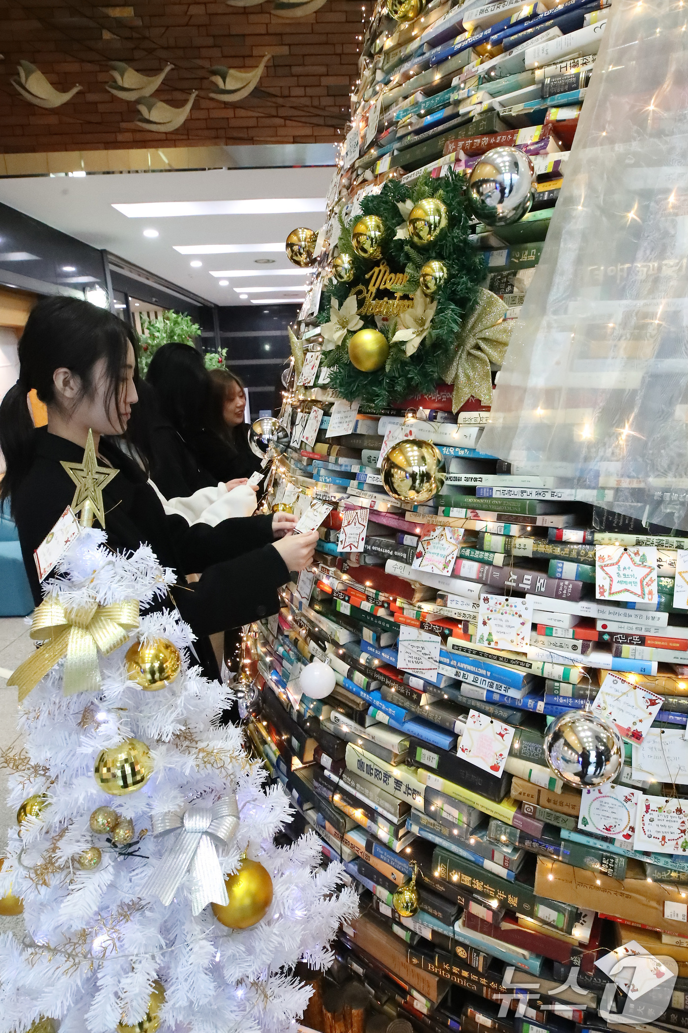 (경산=뉴스1) 공정식 기자 = 16일 오전 대구대학교 경산캠퍼스 창파도서관에서 학생들이 크리스마스를 앞두고 설치된 북(Book) 트리에 소원지를 붙이고 있다.대구대는 2008년부 …