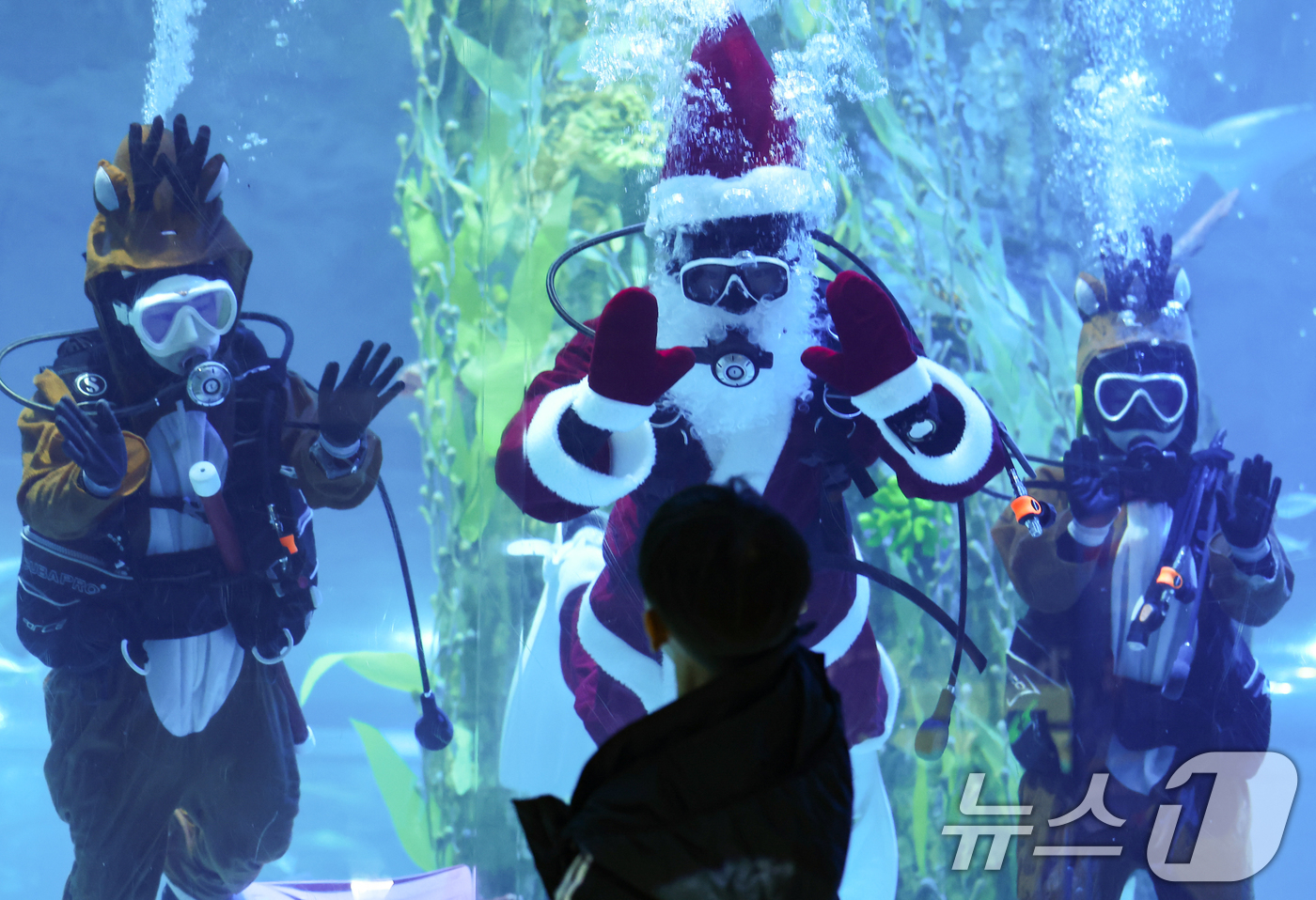(서울=뉴스1) 김도우 기자 = 16일 서울 송파구 롯데월드 아쿠아리움 메인수조에서 산타와 루돌프 복장을 한 아쿠아리스트들 방문객을 향해 인사하고 있다.롯데월드 아쿠아리움은 크리스 …