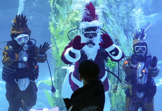 [뉴스1 PICK]"수족관 속에 산타와 루돌프가?"