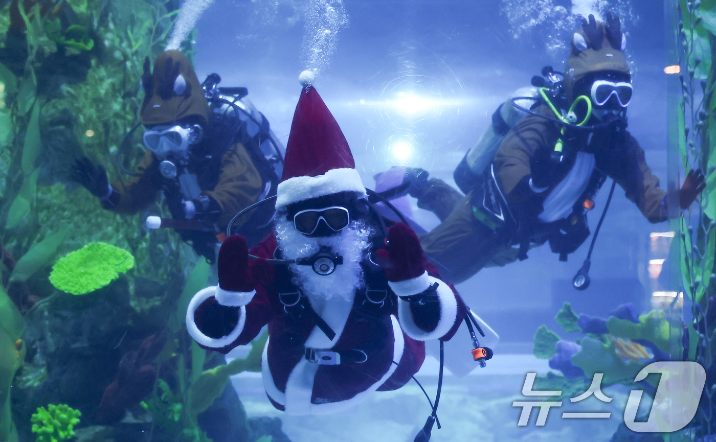 (서울=뉴스1) 김도우 기자 = 16일 서울 송파구 롯데월드 아쿠아리움 메인수조에서 산타와 루돌프 복장을 한 아쿠아리스트들 방문객을 향해 인사하고 있다.롯데월드 아쿠아리움은 크리스 …