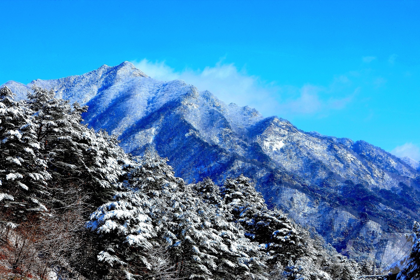 (인제=뉴스1) 이종재 기자 = 16일 강원 인제군 기린면 점봉산 자락에 최근 내린 눈이 쌓여 은빛 설경을 자아내고 있다.(인제군 제공. 재판매 및 DB금지) 2025.12.16/ …