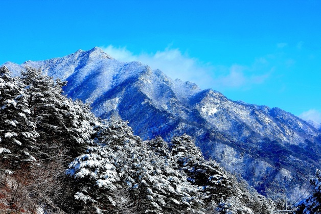 설경이 아름다운 인제 점봉산 자락