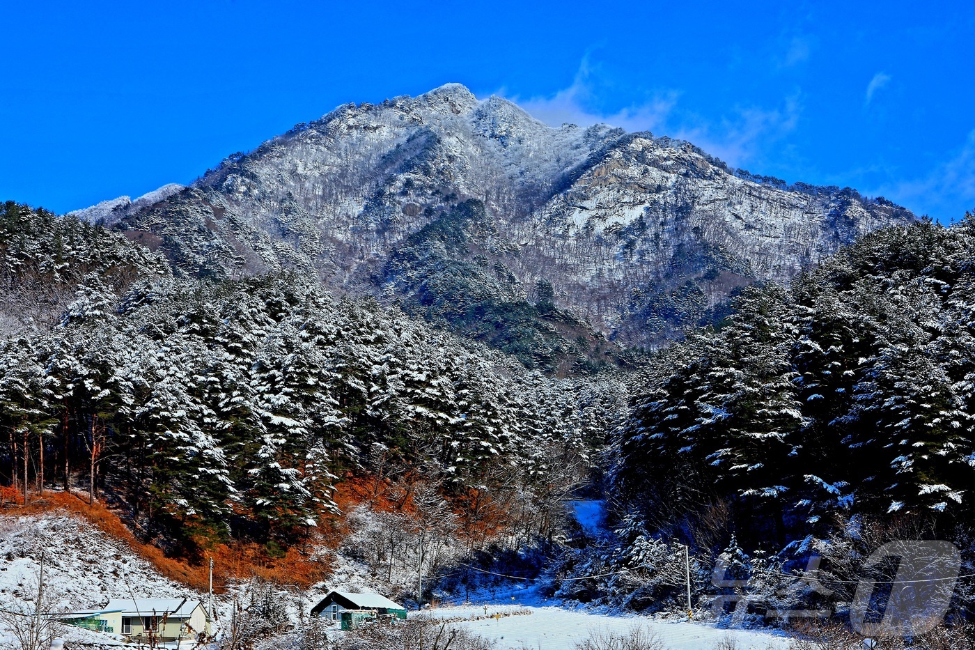 (인제=뉴스1) 이종재 기자 = 16일 강원 인제군 기린면 점봉산 자락에 최근 내린 눈이 쌓여 은빛 설경을 자아내고 있다.(인제군 제공. 재판매 및 DB금지) 2025.12.16/ …