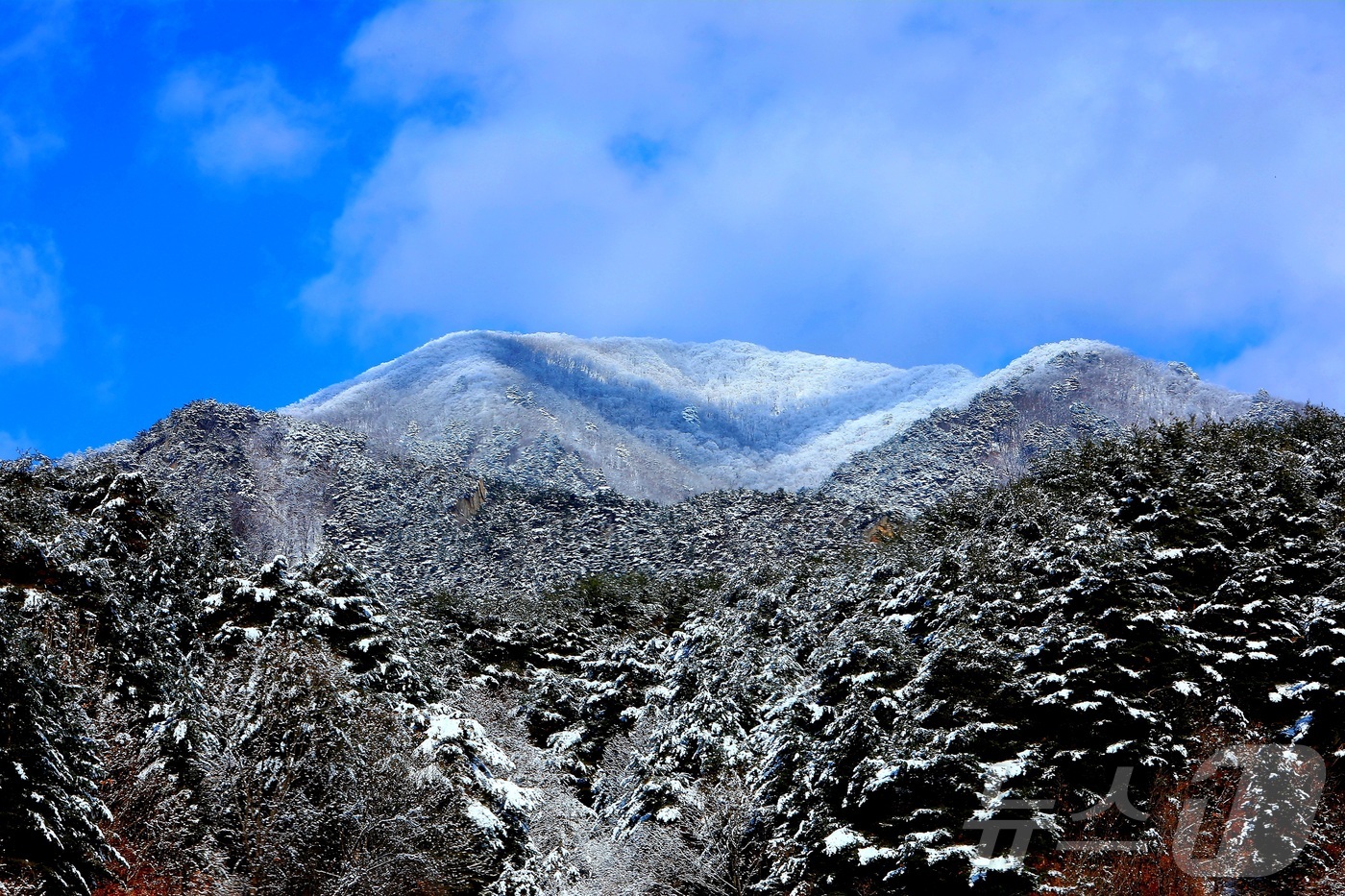 (인제=뉴스1) 이종재 기자 = 16일 강원 인제군 기린면 점봉산 자락에 최근 내린 눈이 쌓여 은빛 설경을 자아내고 있다.(인제군 제공. 재판매 및 DB금지) 2025.12.16/ …