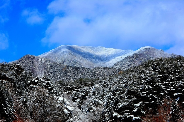 설경이 아름다운 인제 점봉산 자락