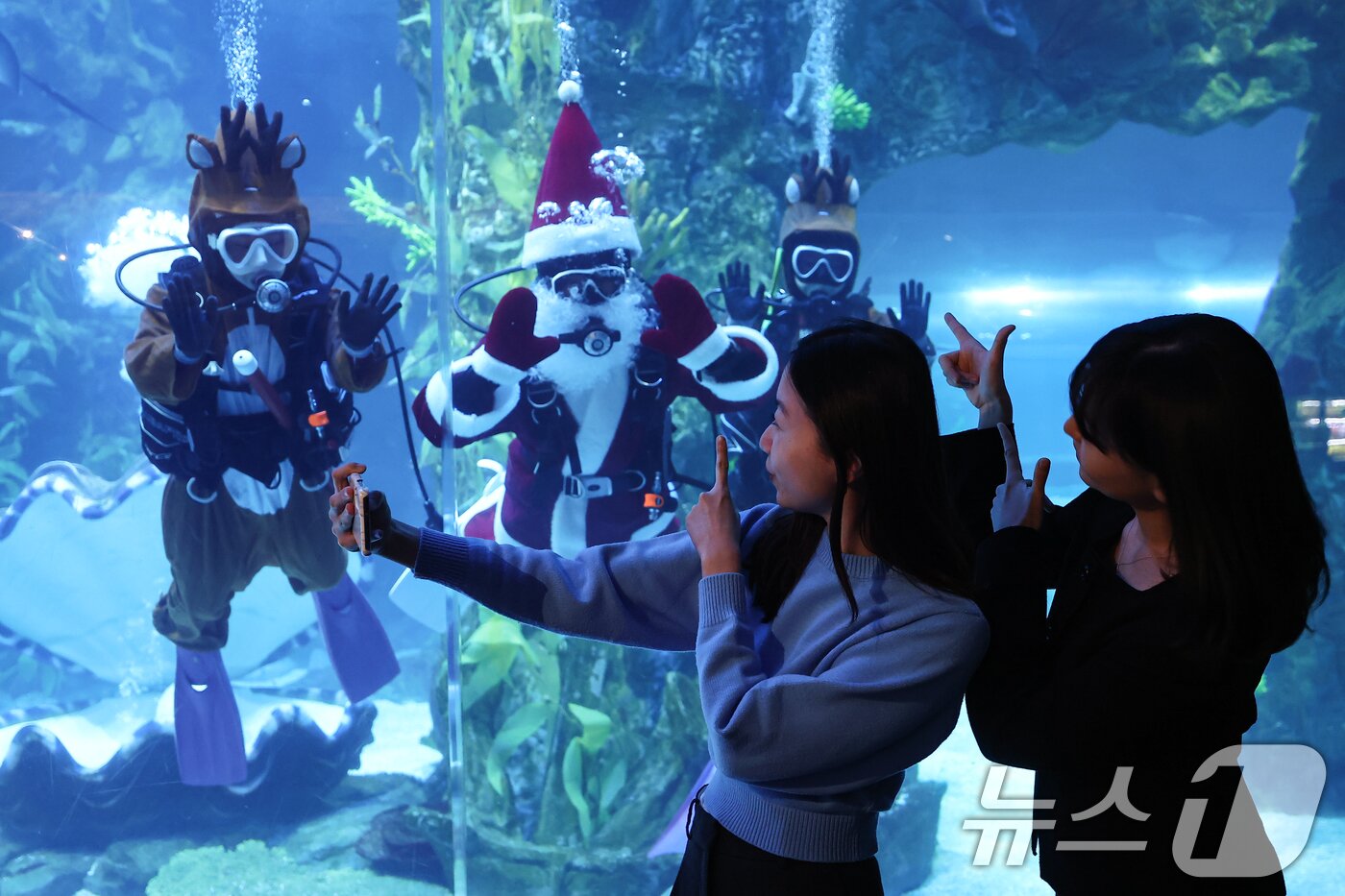 본문 이미지 - 16일 서울 송파구 롯데월드 아쿠아리움 메인수조에서 산타와 루돌프 복장을 한 아쿠아리스트들 방문객을 향해 인사하고 있다. 2025.12.16/뉴스1 ⓒ News1 김도우 기자