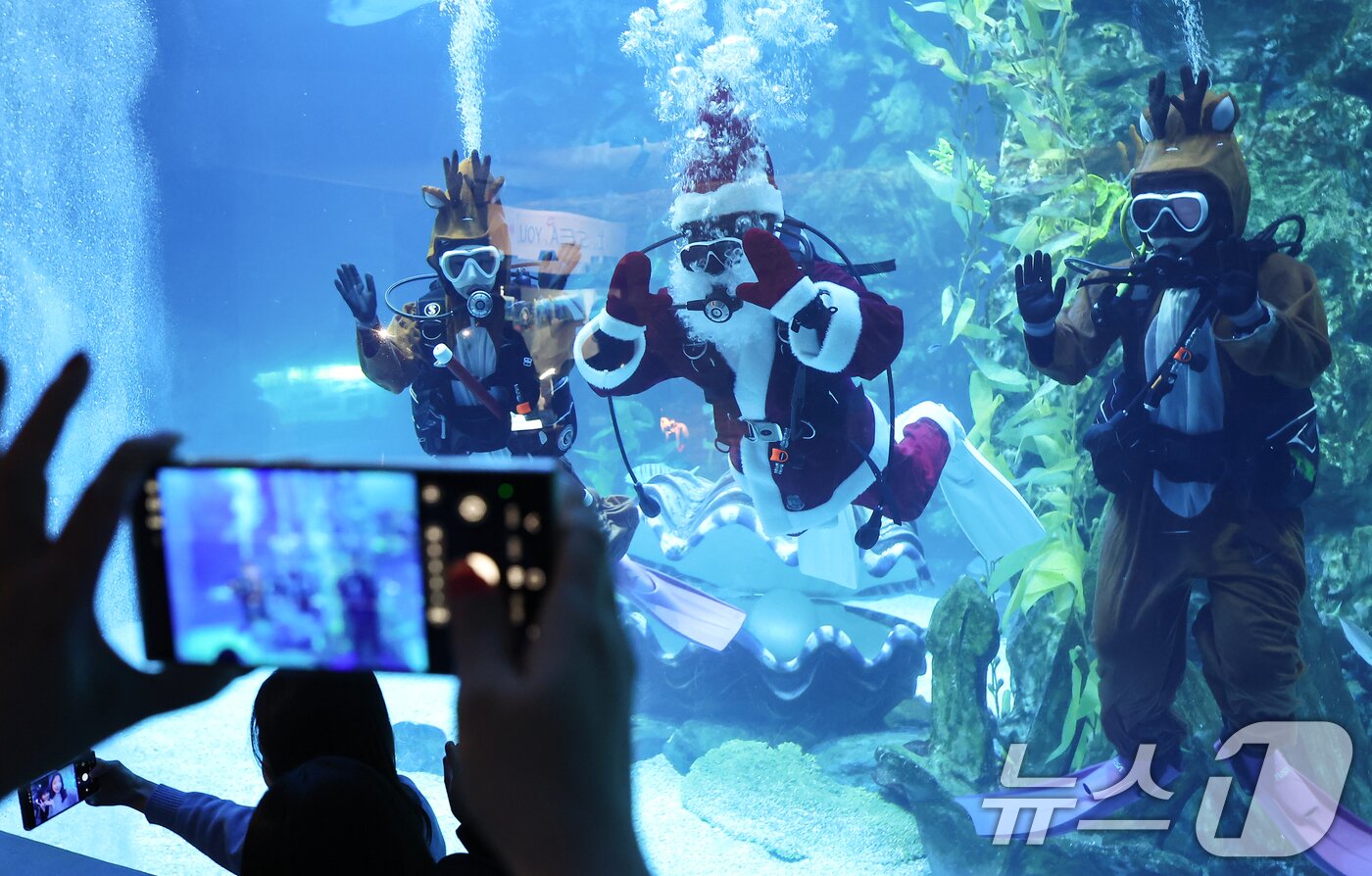 본문 이미지 - 16일 서울 송파구 롯데월드 아쿠아리움 메인수조에서 산타와 루돌프 복장을 한 아쿠아리스트들 방문객을 향해 인사하고 있다. 2025.12.16/뉴스1 ⓒ News1 김도우 기자