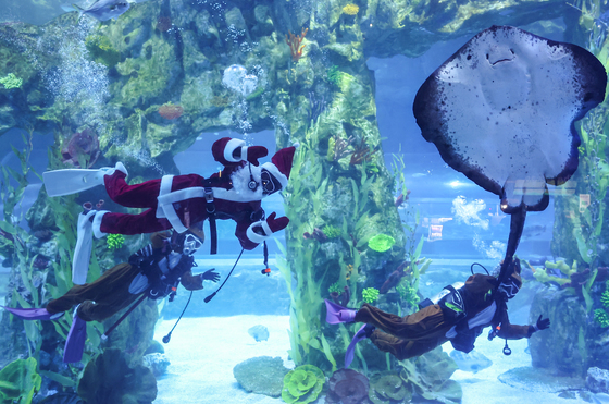 관람객 향해 인사하는 수중 산타와 루돌프