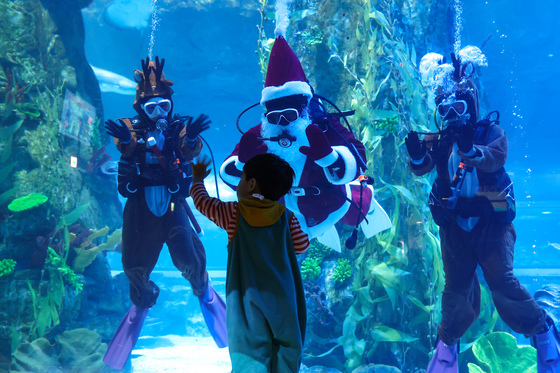 아쿠아리움에서 만나는 산타할아버지