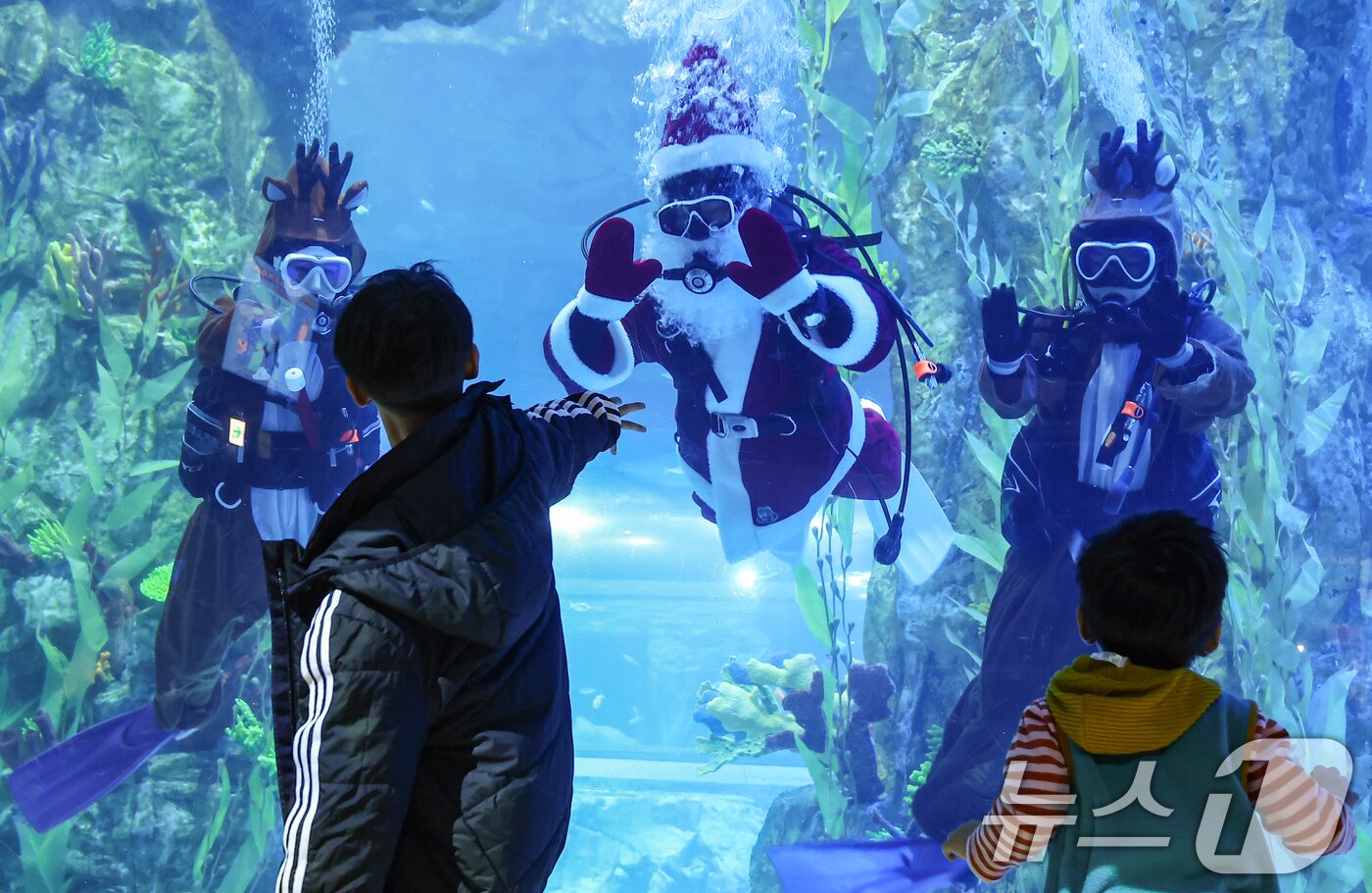 본문 이미지 - 16일 서울 송파구 롯데월드 아쿠아리움 메인수조에서 산타와 루돌프 복장을 한 아쿠아리스트들 방문객을 향해 인사하고 있다. 2025.12.16/뉴스1 ⓒ News1 김도우 기자