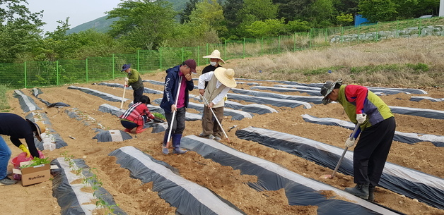 영천시, '귀농 준비' 9개월 체류형 교육생 29세대 모집
