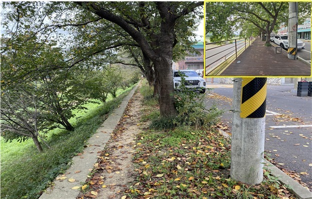 박성민 "울산 중구 '구루미길 보행데크' 행안부 특별교부세 6억원 확보"