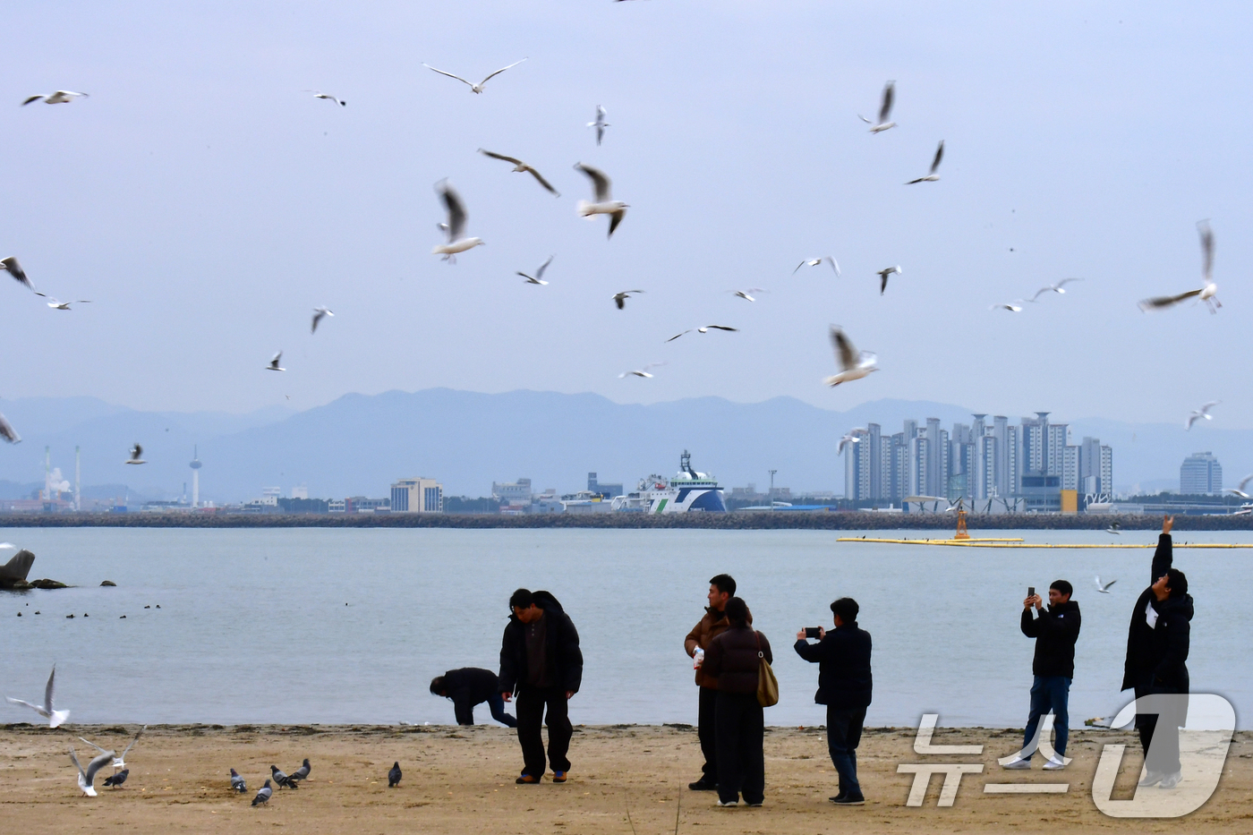 (포항=뉴스1) 최창호 기자 = 16일 오후 경북 포항시 북구 영일대해수욕장에서 관광객들이 갈매기들에게 새우맛 과자를 던져주고 있다.  2025.12.16/뉴스1