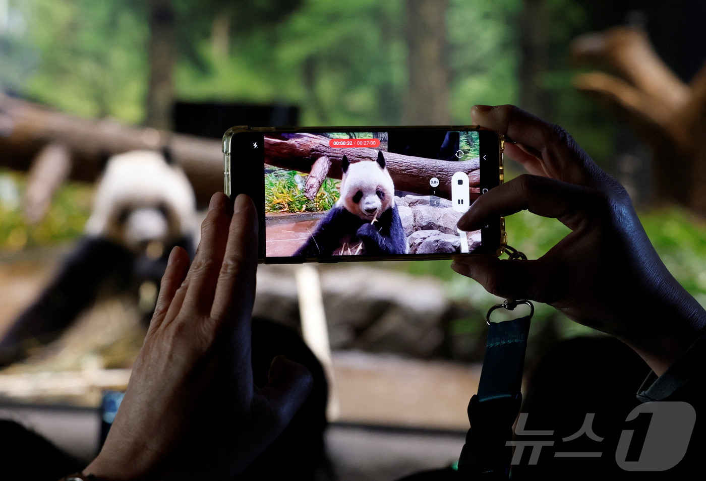 (도쿄 로이터=뉴스1) 강민경 기자 = 일본 도쿄 우에노 동물원이 16일 판다 레이레이를 보러 온 방문객들로 붐비고 있다. 일본 정부가 내달 말 중국에 판다 2마리를 모두 반환하기 …