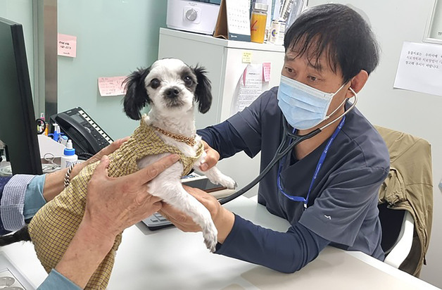 버려진 동물까지 품는다…성남시립동물병원 진료 대상 확대
