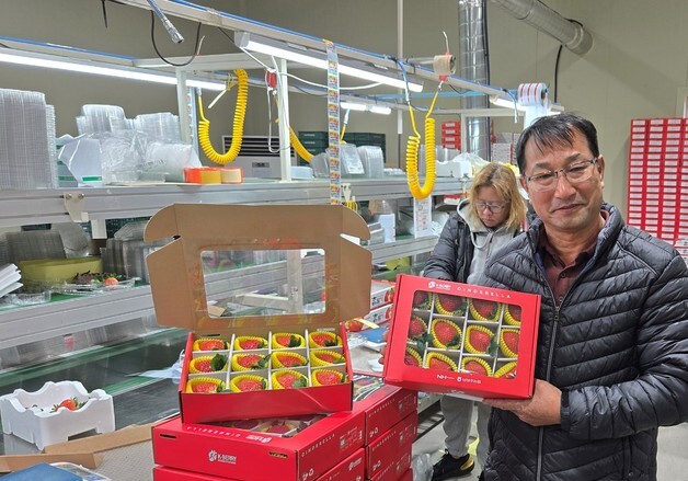 상주 신품종 딸기 '아리향' 인니 첫 수출…해외 진출 신호탄