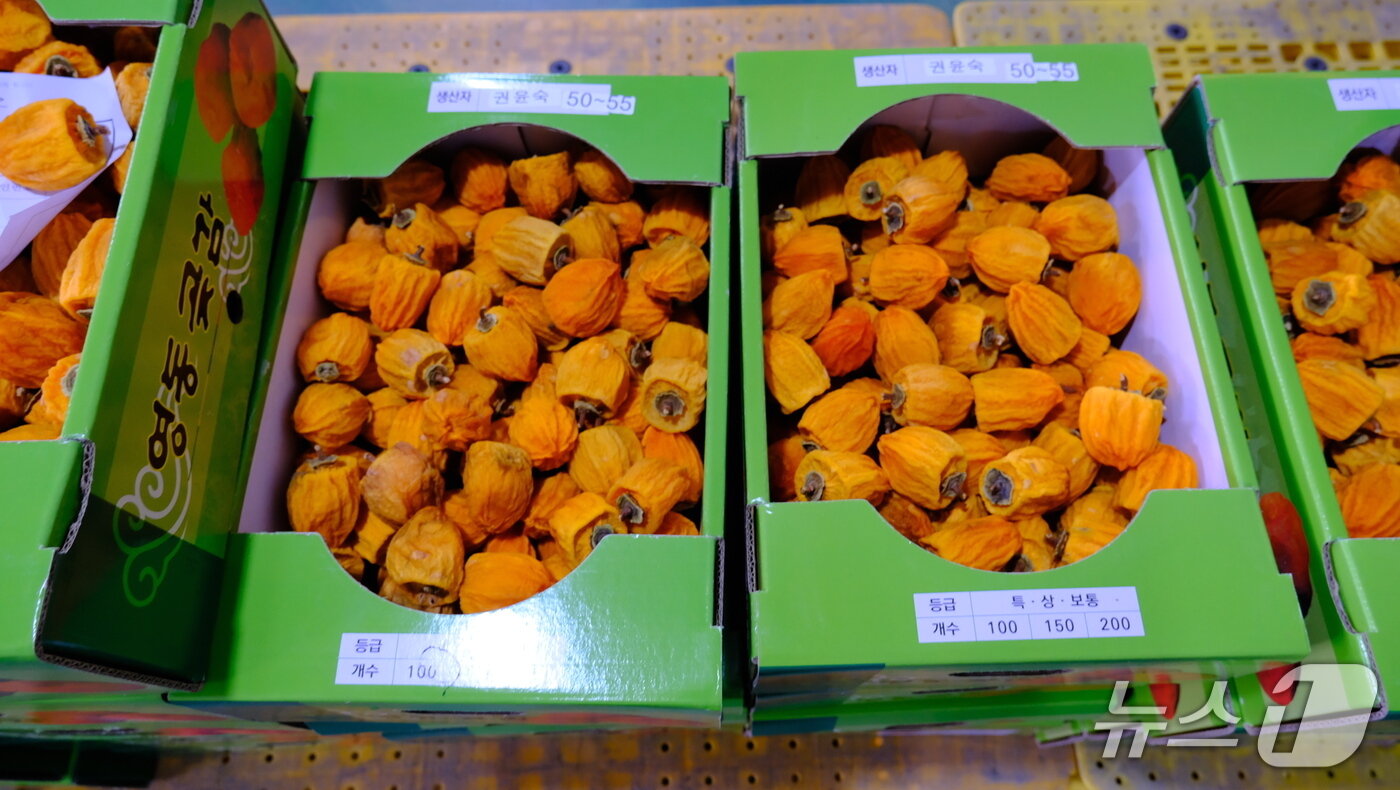 본문 이미지 - 영동군 햇곶감(영동군 제공. 재판매 및 DB금지) /뉴스1 