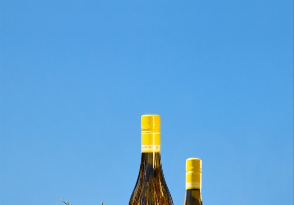 금양인터내셔날, 부르고뉴 영혼 담은 美 샤르도네 '소노마 커터' 출시