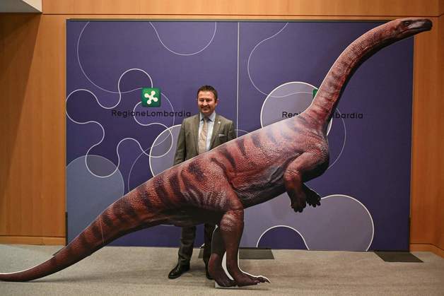 [포토] 伊 알프스서 발견된 공룡 발자국 주인공은?