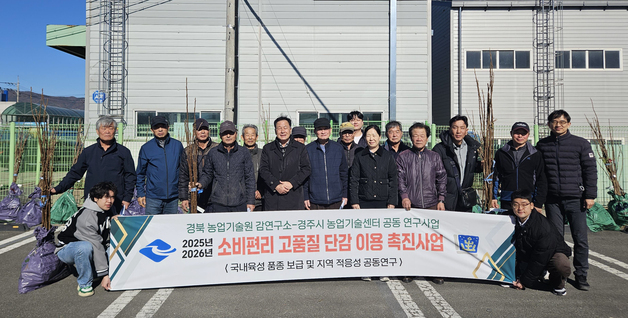 경주시, 일본 품종 단감 국산 신품종으로 재배 구조 변경