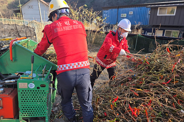 동부산림청, 영농부산물 파쇄 지원 지속…"소각산불 예방" 당부